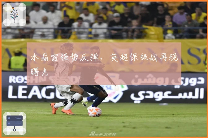 水晶宫强势反弹，英超保级战再现曙光