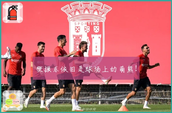 樊振东依旧是球场上的萌熊！