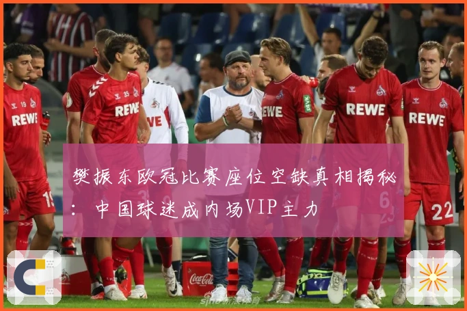 樊振东欧冠比赛座位空缺真相揭秘：中国球迷成内场VIP主力