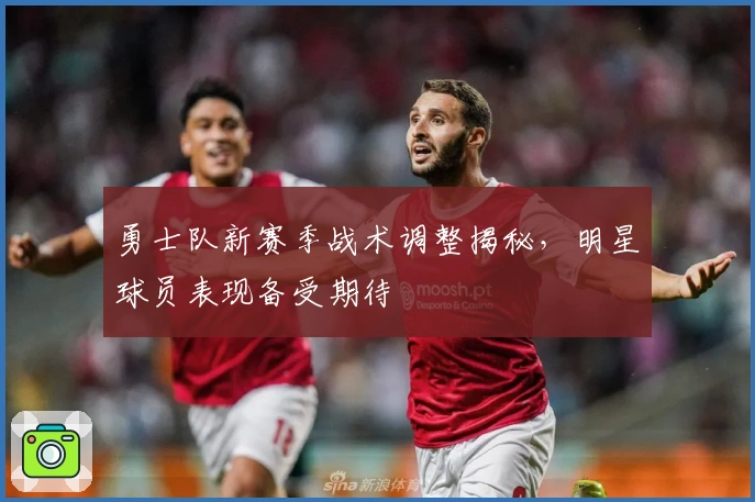 勇士队新赛季战术调整揭秘，明星球员表现备受期待